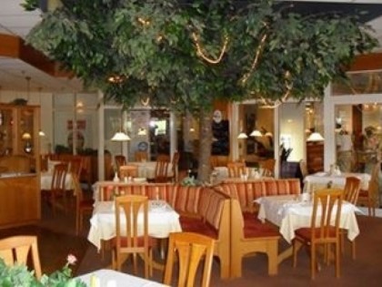 照片: Pizzeria Da Bruno